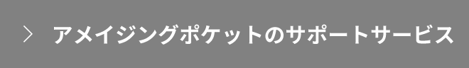 アメイジングポケットのサポートサービス