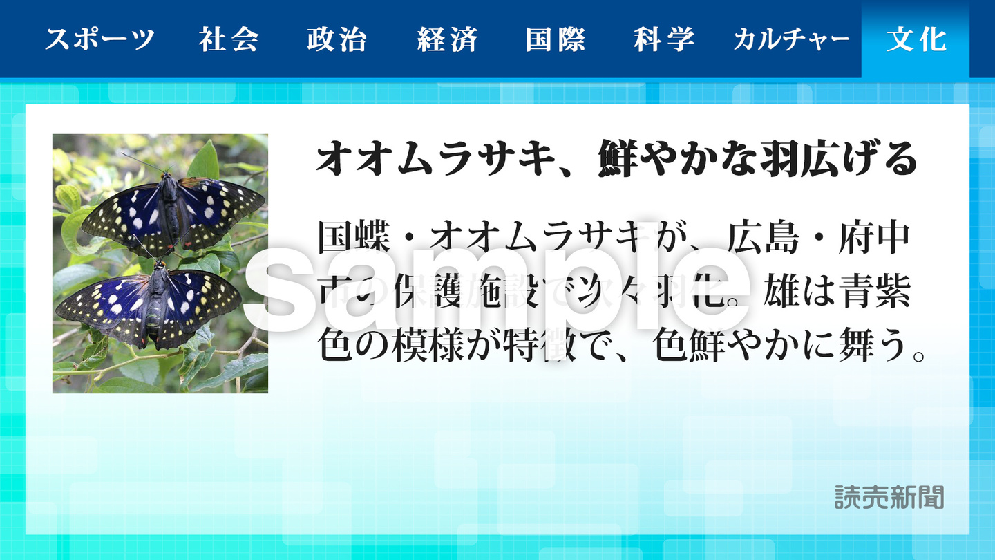 読売新聞ニュース